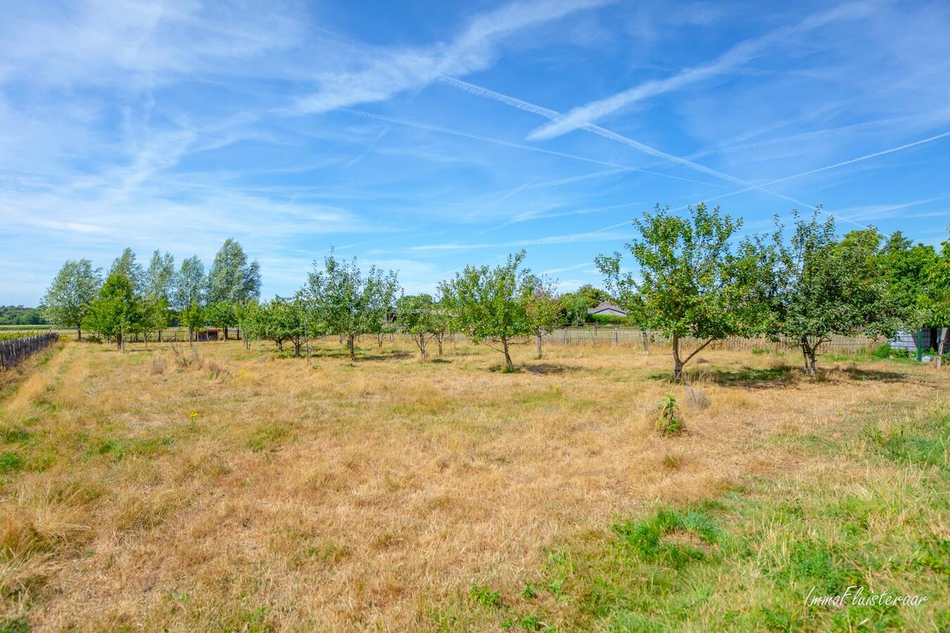 Charmante woning met bijgebouw op ca. 1,5 Ha te Poppel 