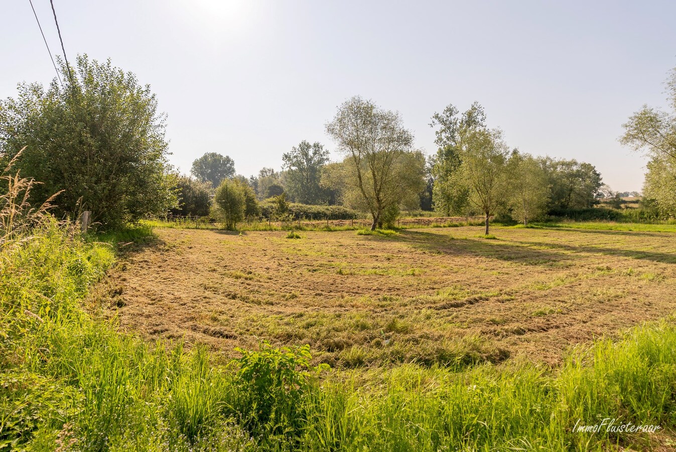 Propriété vendu À Ophasselt