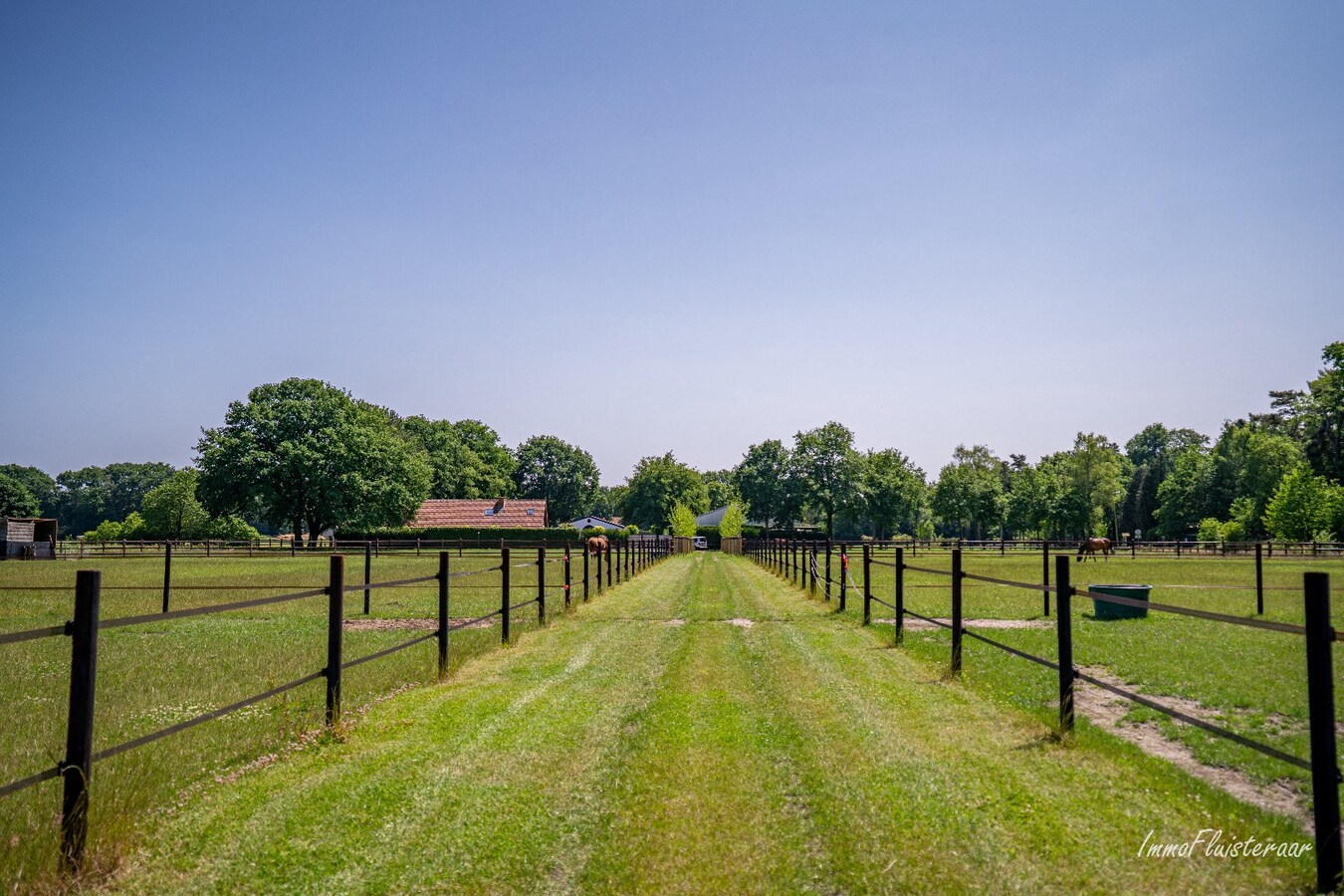 Complete horse accommodation on approximately 3.5 hectares in Helchteren 