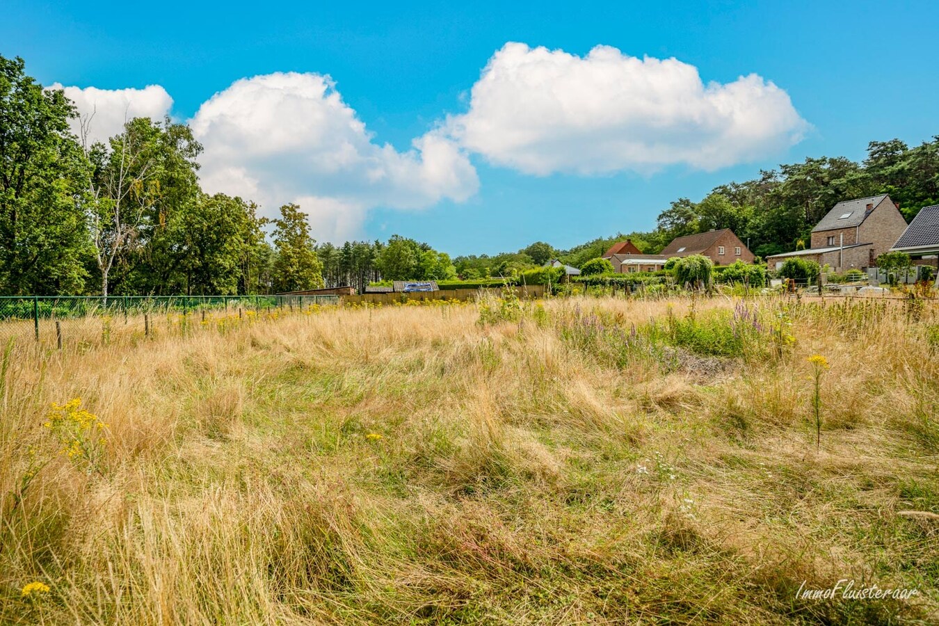 Ruime laagbouwwoning met magazijn, sierserre, aanhorigheden en stallen op ca. 75a te Messelbroek (Scherpenheuvel-Zichem; Vlaams-Brabant) 