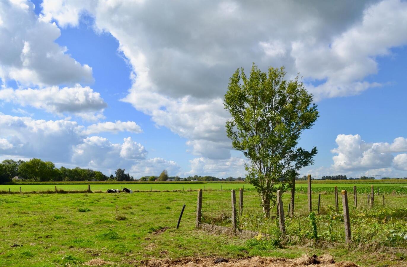 Woning met loodsen en koestal op ca. 6.423m&#178; te Oudenaarde 