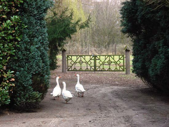 Propriété vendu À Sint-Gillis-Waas