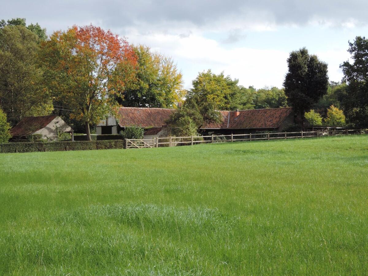 Charmant gerenoveerde hoeve met stallen en weiland op ca. 1,24ha te Zelem 