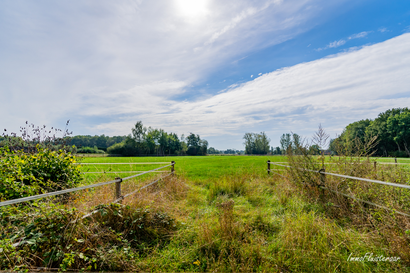 Charmante woning op ca. 2 Ha te Geel 