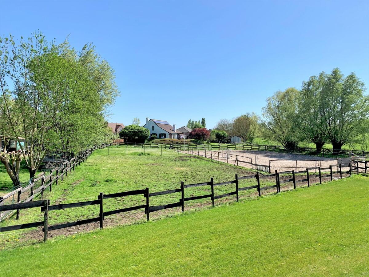 Renovated house with stable building, large barn and outdoor arena on approximately 43a in Boutersem (Flemish Brabant) 