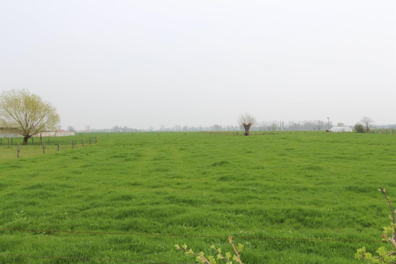 Alleenstaande woning hoeve met uitgestrekte vergezichten te Koekelare 