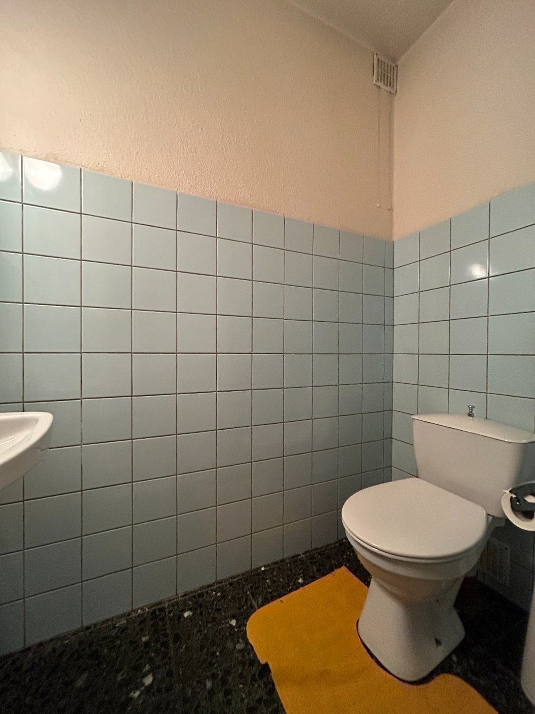 Uiterst ruime woning op een uniek perceel van bijna 40 are in Geel 