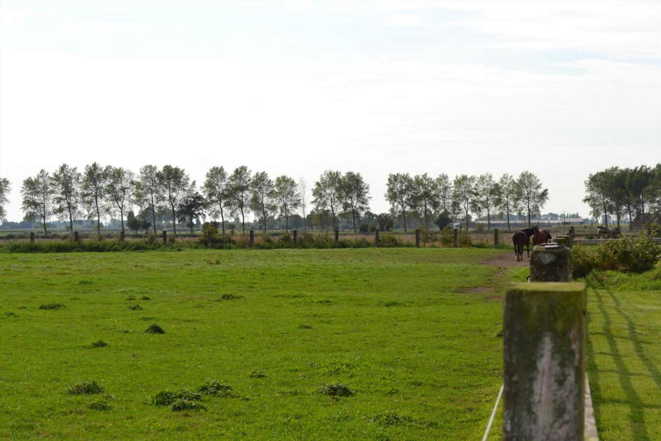 Prachtige kustpolderhoeve op ca. 5,35Ha regio Veurne (W-Vl) 