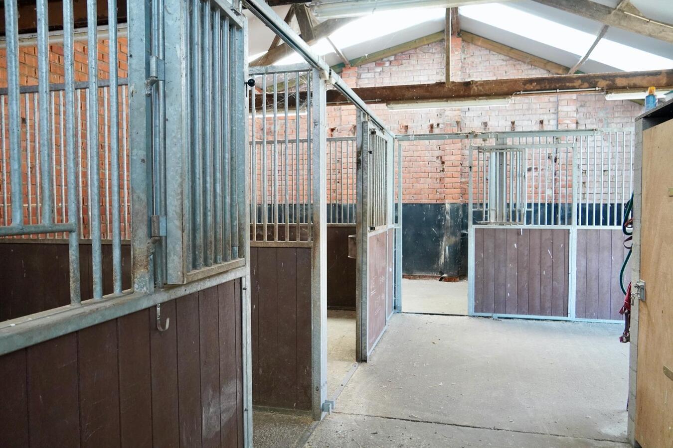 Gerenoveerde hoeve met paardenstallen en buitenpiste op ca. 1,6 ha te Vlimmeren 