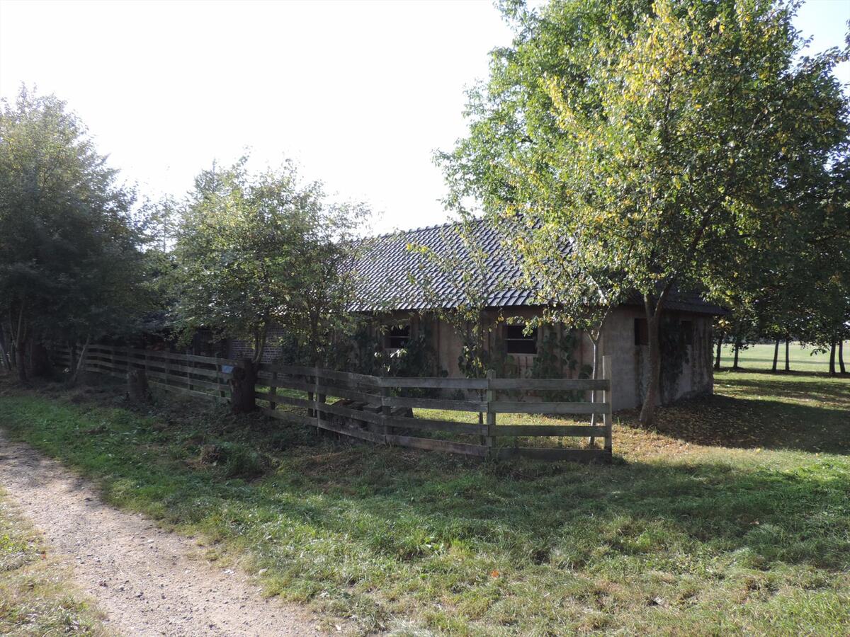 Recent gerenoveerde hoeve met ca. 2 ha weiland te Bree (aankoop ca. 2ha aanpalende weide mogelijk) 