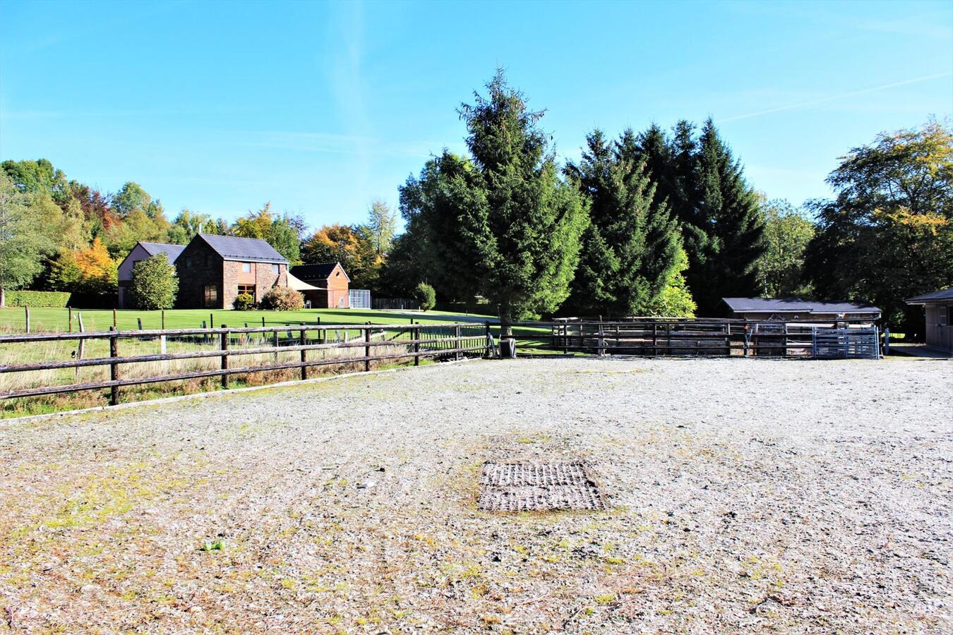 Villa avec boxes, piste ext&#233;rieure et p&#226;tures sur environ 1.9ha &#224; Malmedy (Li&#232;ge) 