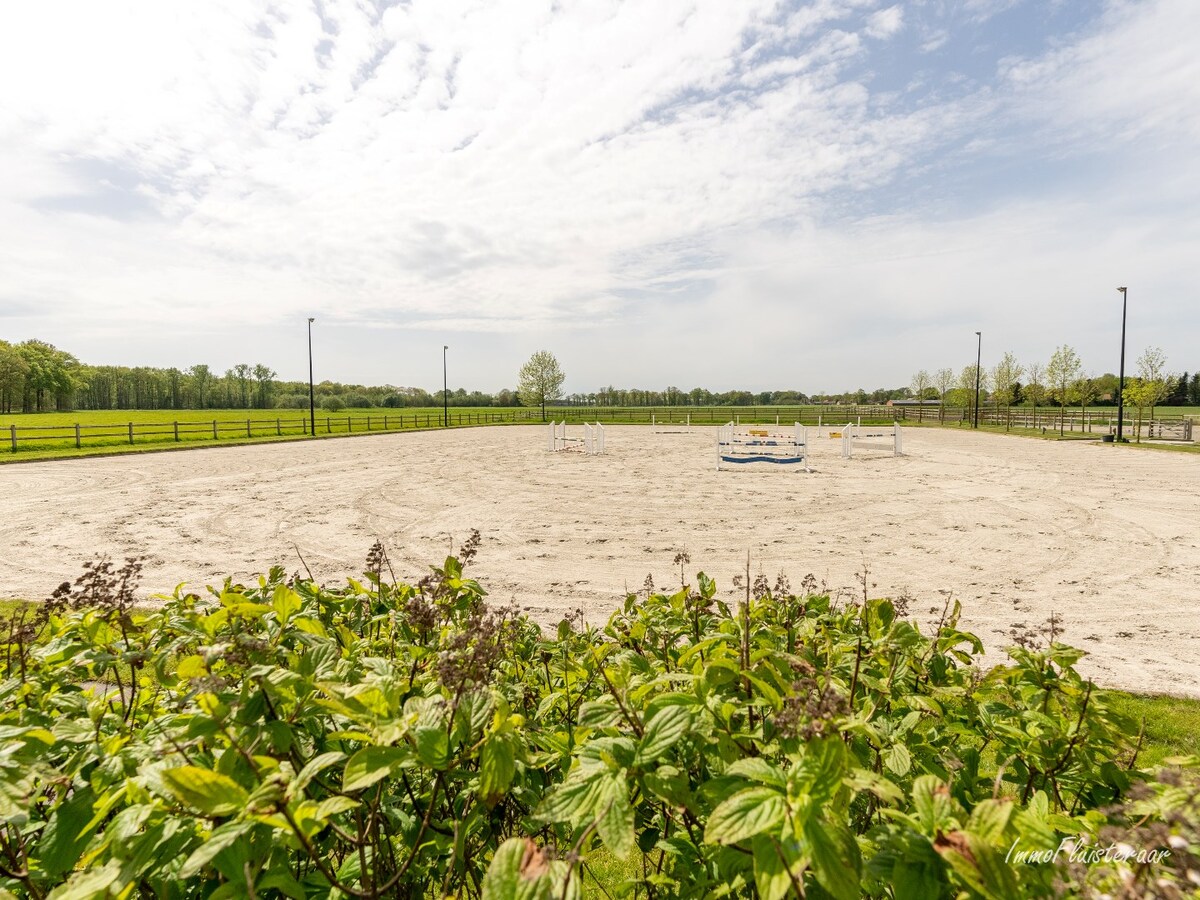 Magnifique complexe &#233;questre sur environ 2,4 hectares &#224; Meerle/Hoogstraten 