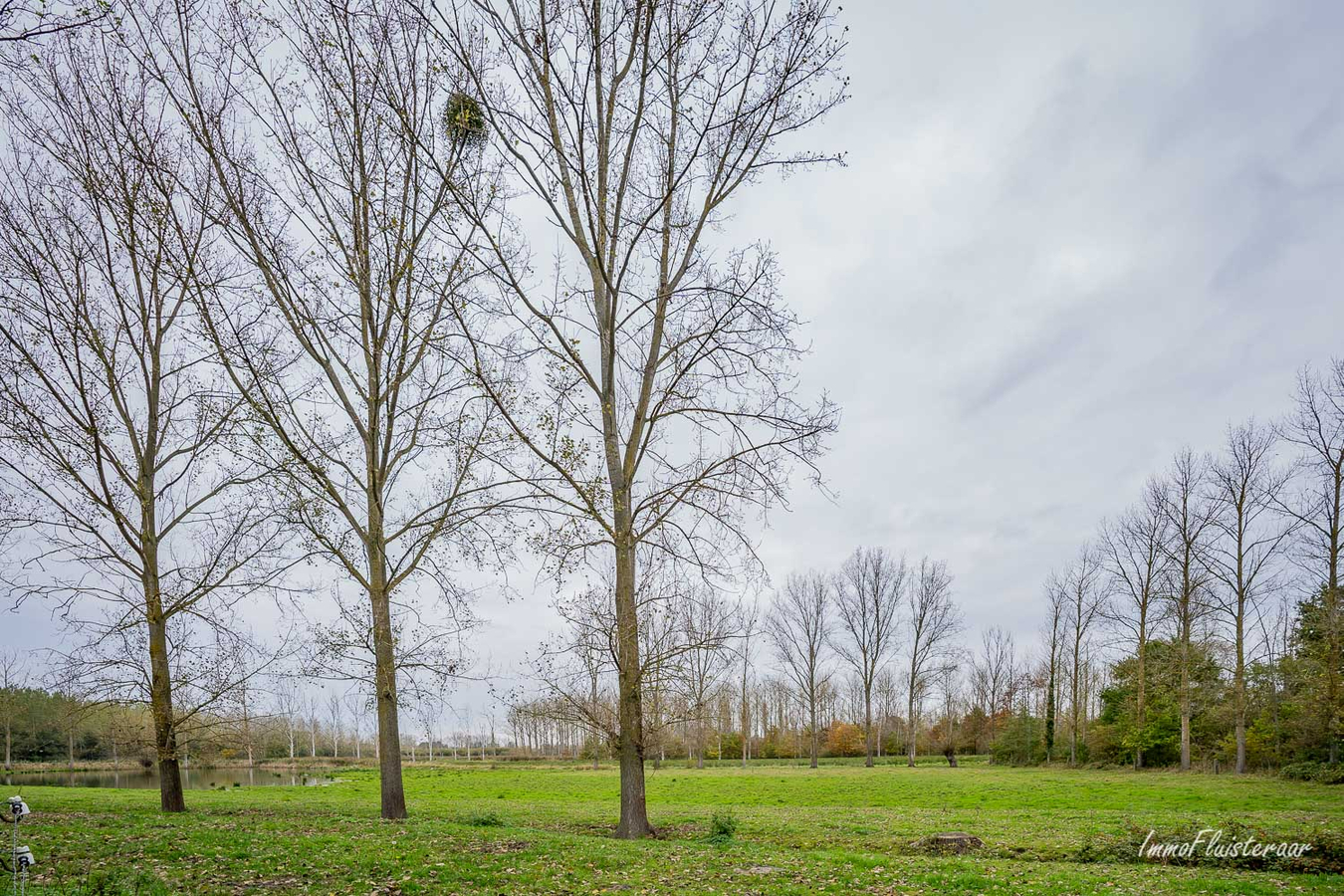 IN OPTIE - Te renoveren hoeve met woning, stallen, schuur en grond op ca. 5,6ha te Rotselaar (Vlaams-Brabant) 