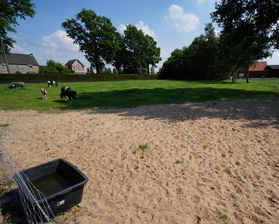 Landhuis met weide op ca. 6600 m2 te Rijkevorsel 