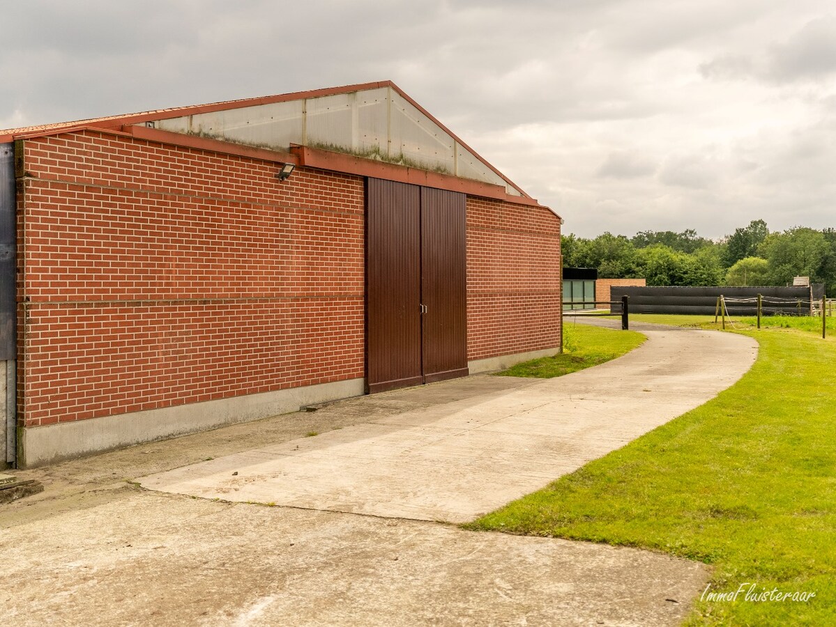 Maison spacieuse avec b&#226;timent d&#39;&#233;curie et prairies sur environ 3,8 hectares &#224; Berlaar. 