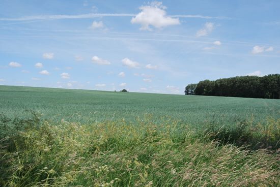 Prachtig gelegen hoeve op ca. 2,25 ha 