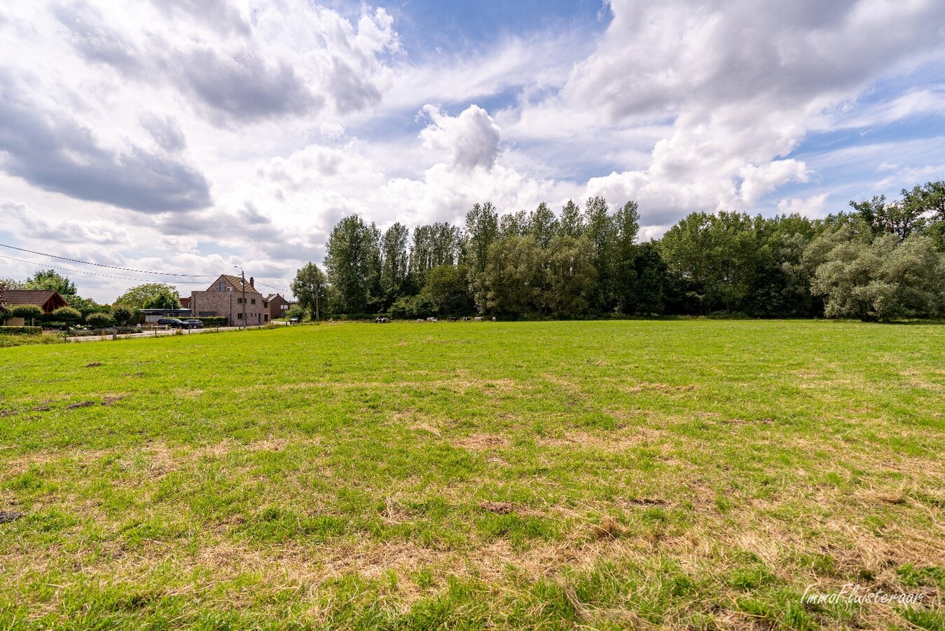 Ruime woning met weide op ca. 60 a te Puurs/Sint-Amands (Optioneel ca. 1,3 ha weide) 