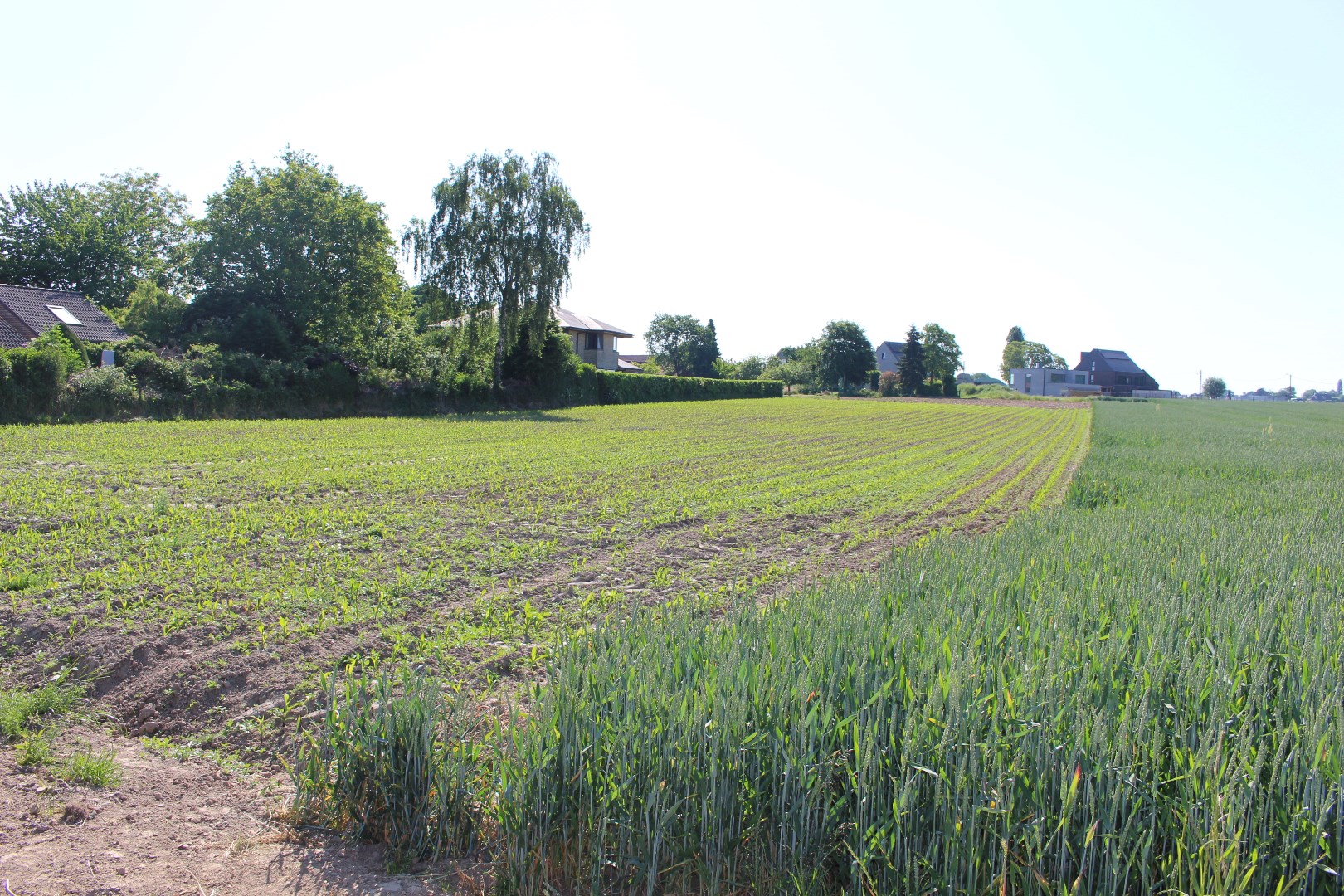 Uniek perceel bouwgrond voor halfopen bebouwing. 