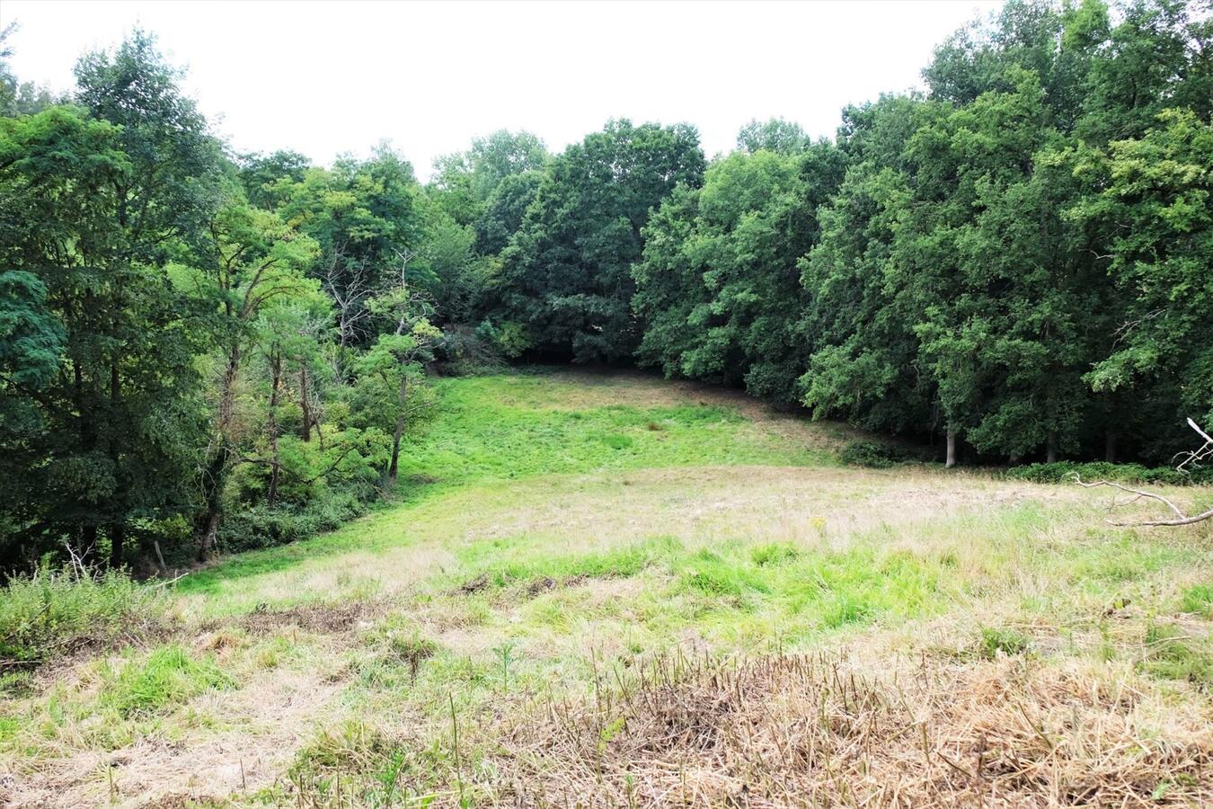 Te renoveren boerderij met weilanden op ca. 1,8ha te Boutersem (Vlaams-Brabant) 