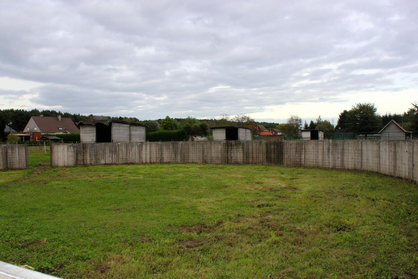 Woning met stallen en buitenpiste op ca. 8000m&#178;  te Langdorp 