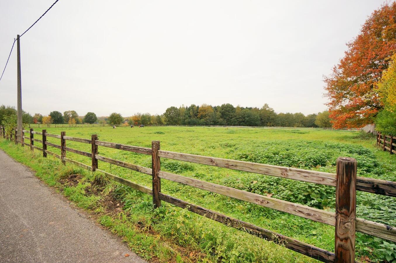 Farm sold in Putte