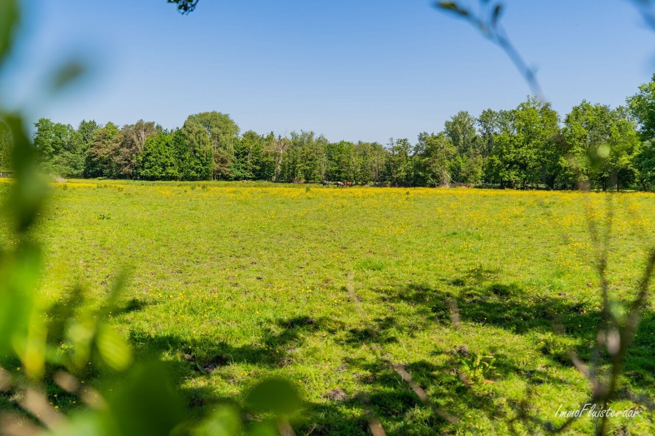 Hoeve op een uitzonderlijke locatie op ca. 5ha te Ham 