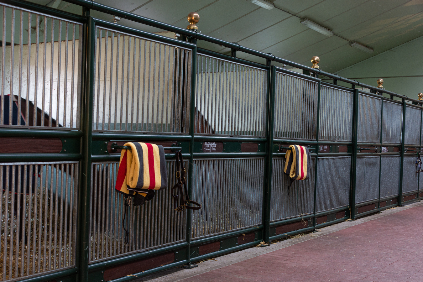 Unique opportunity -  professional breeding/sports stable on approx. 24 ha 
