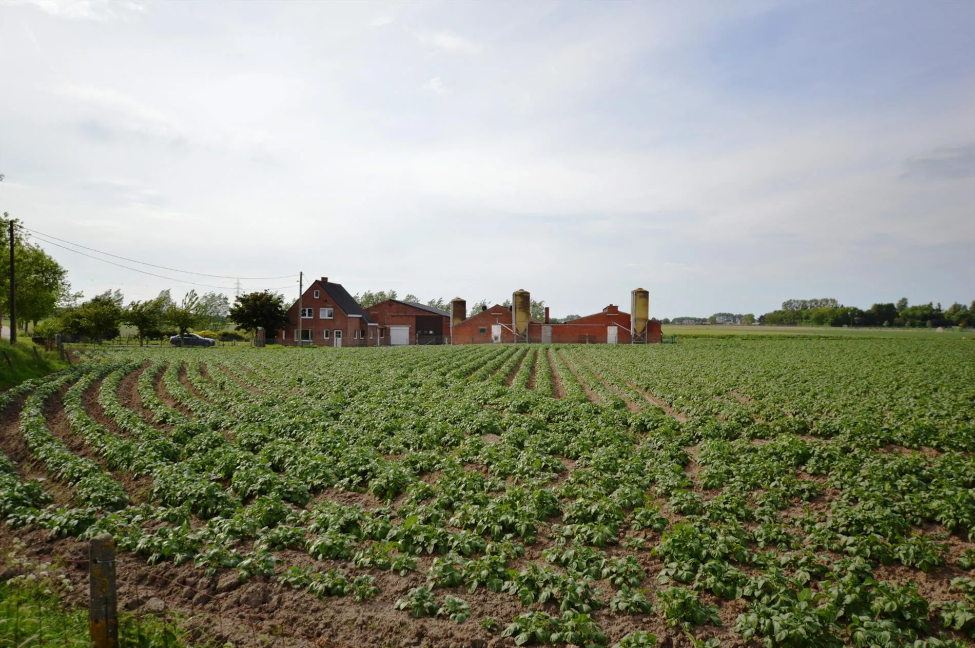 Prachtig gelegen boerderij op 21.000m² met verschillende hangars/stallingen