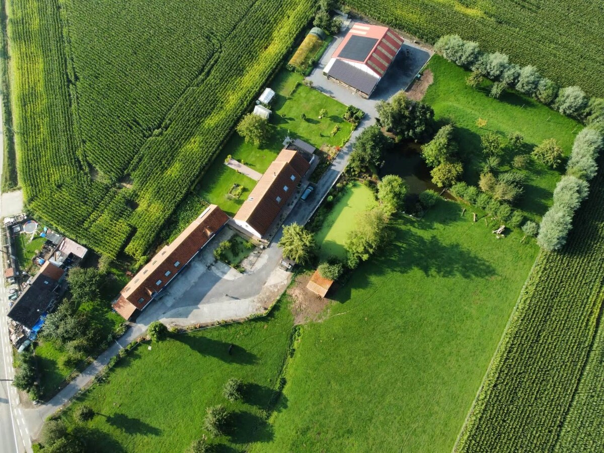 Idyllische eigendom met ruim stalgebouw en bijgebouw 