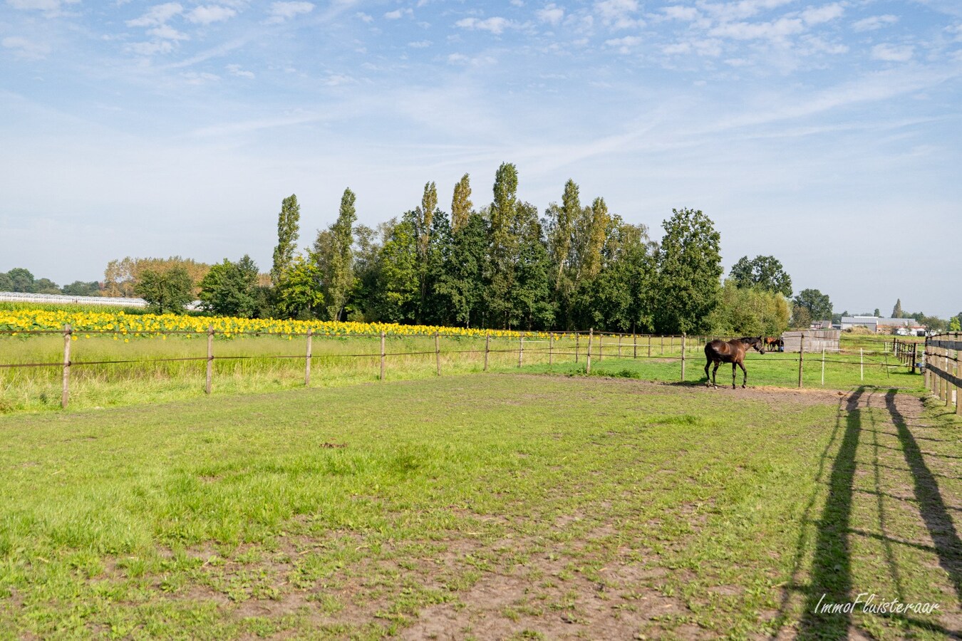 Semi-open house with stables, arena, and pastures on approximately 1.5 hectares in Sint-Katelijne-Waver (Optional to buy additional pasture of approximately 1 hectare) 