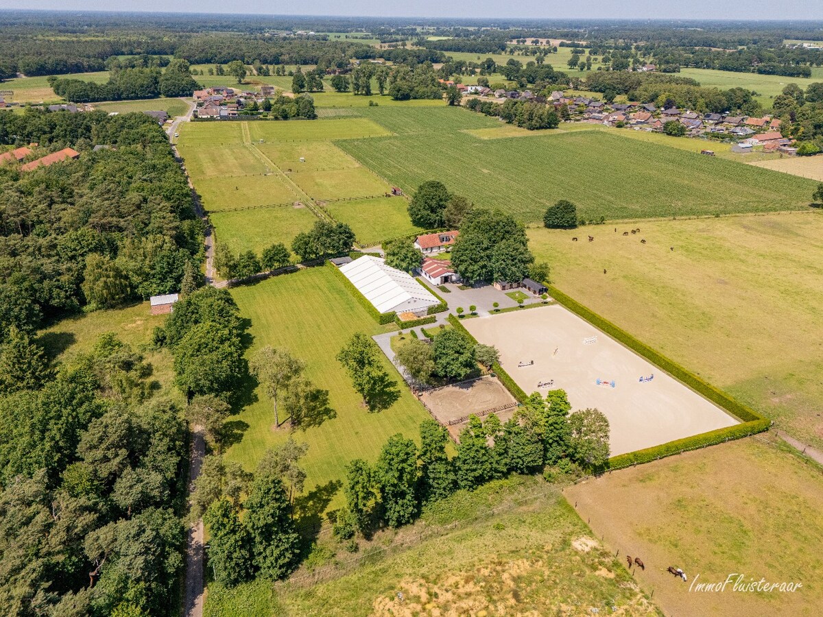Complete horse accommodation on approximately 3.5 hectares in Helchteren 