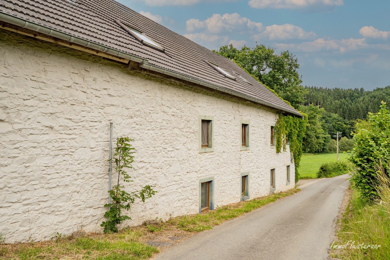 Interessant eigendom met paardenfaciliteiten omgeven door groen op ca. 43 are te Burg-Reuland (Luik) 
