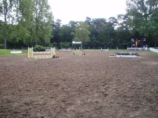 Paardenstoeterij op ca. 6ha met binnen-en butienpiste 