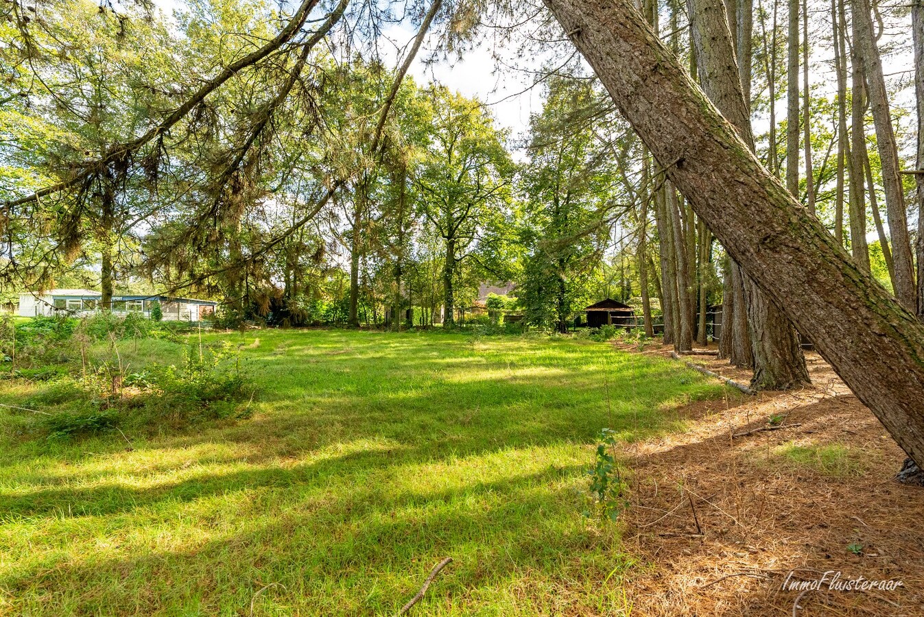 Propriété a vendre À Balen