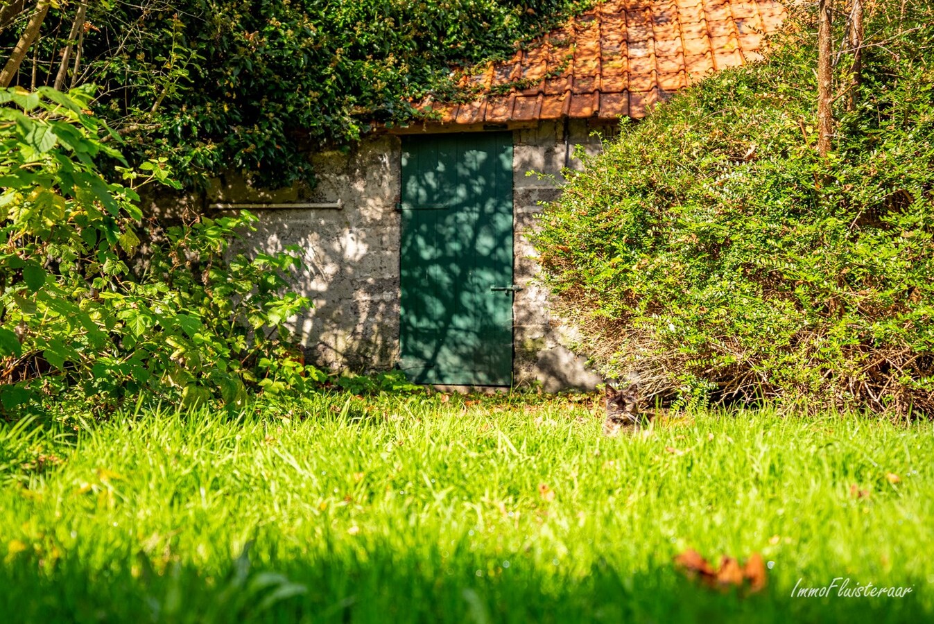 Idyllisch gelegen te renoveren hoeve te Deinze op ca. 6 ha 