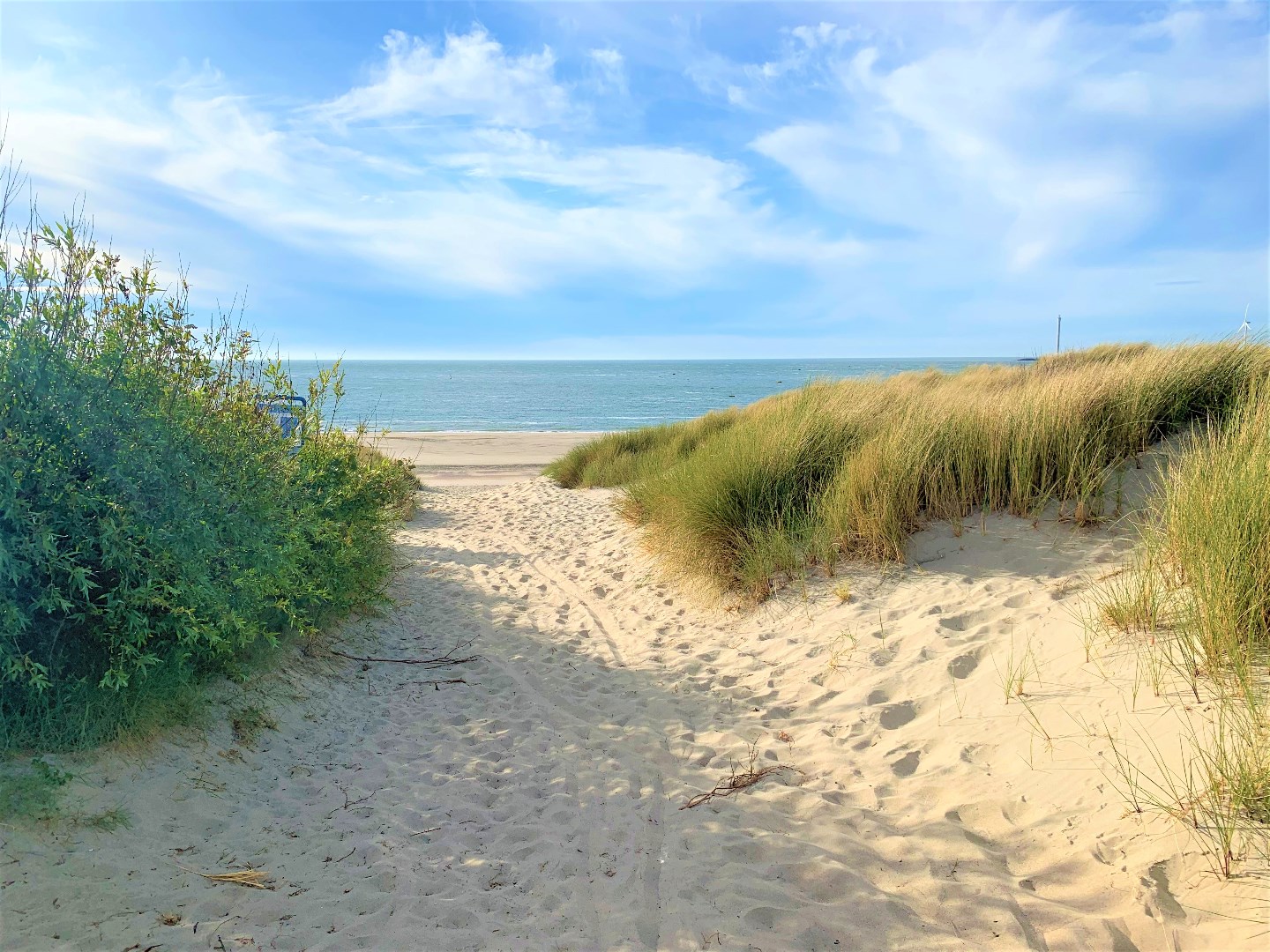 Zeer net, vrijwel nieuw vakantie-chalet (nr. JD12) aan de rand het Vakantiepark In de Bongerd te Oostkapelle, op loopafstand van het gezellige centrum van het dorp en natuurgebied de Manteling met aan 