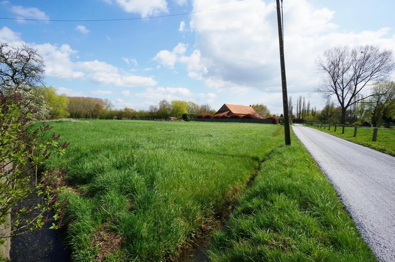 Volledig gerenoveerde hoeve op ca. 1ha te Sint-Katelijne-Waver 