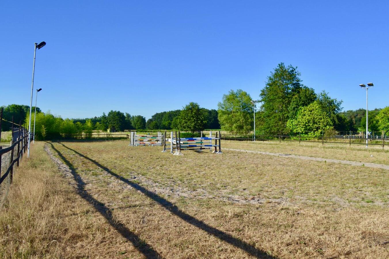 Unieke kans op paardenaccommodatie met binnenpiste (15m x 30m) en appartement op ca. 1,3 Ha te Waasmunster - NIEUWE PRIJS 