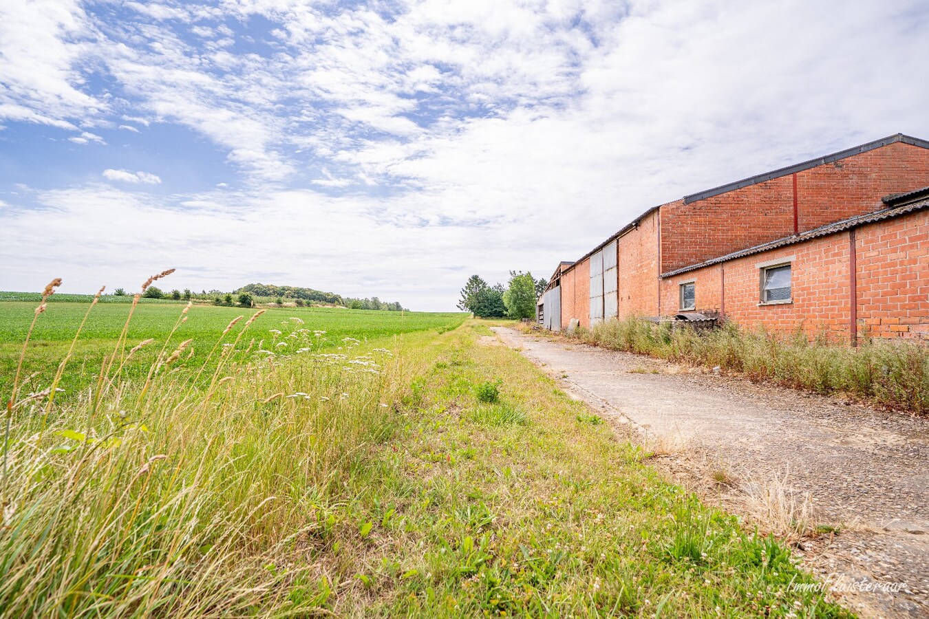 Maison situ&#233;e &#224; la campagne avec d&#233;pendances sur environ 4 hectares &#224; Bekkevoort (Brabant flamand) 