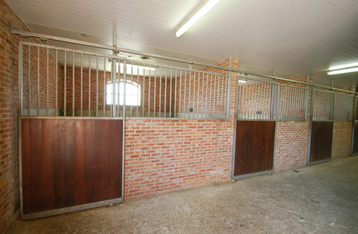 Woning met hippisch complex op 1,2ha te Ravels 