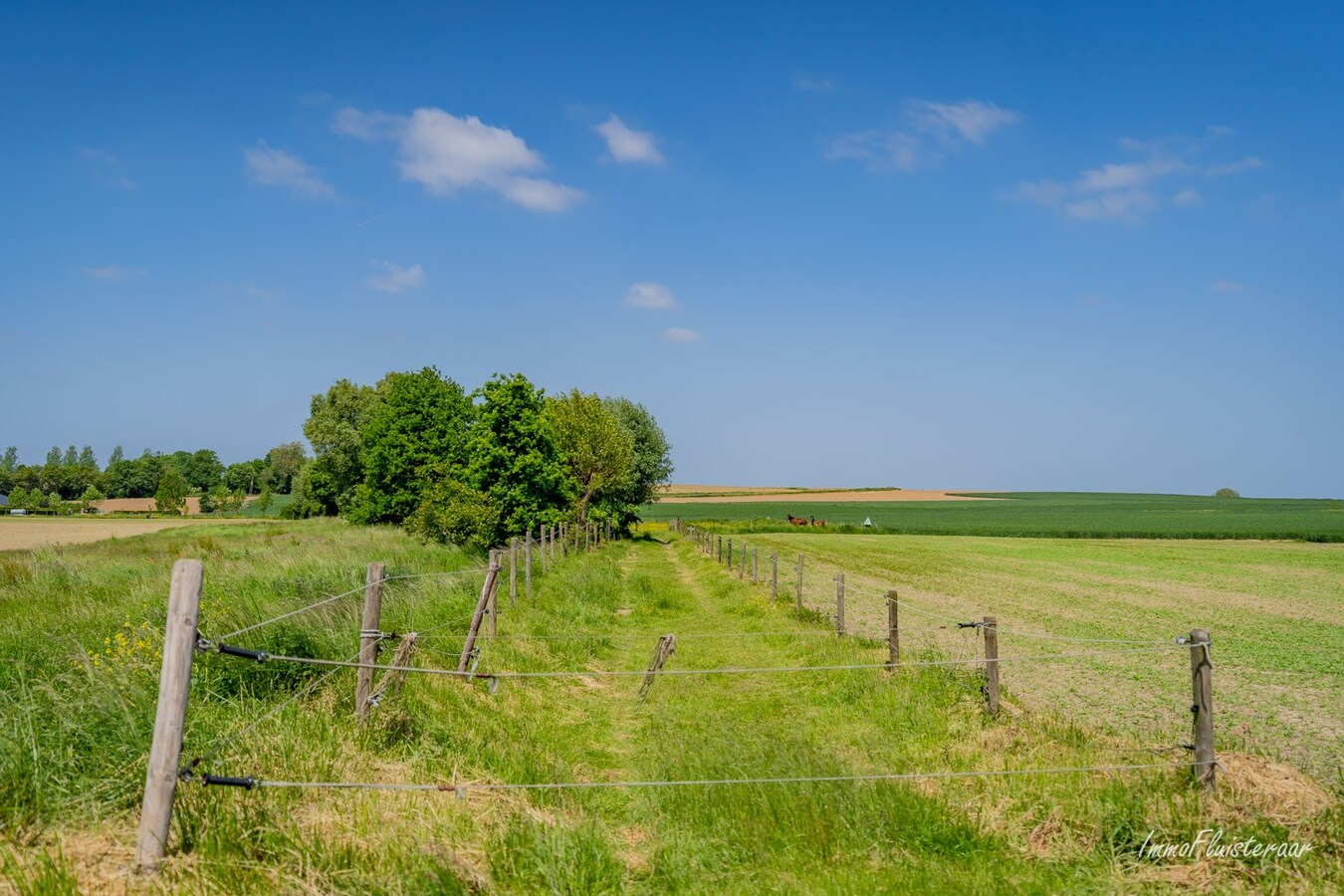 Prachtige woning met paardenaccommodatie op ca. 48a te Landen 