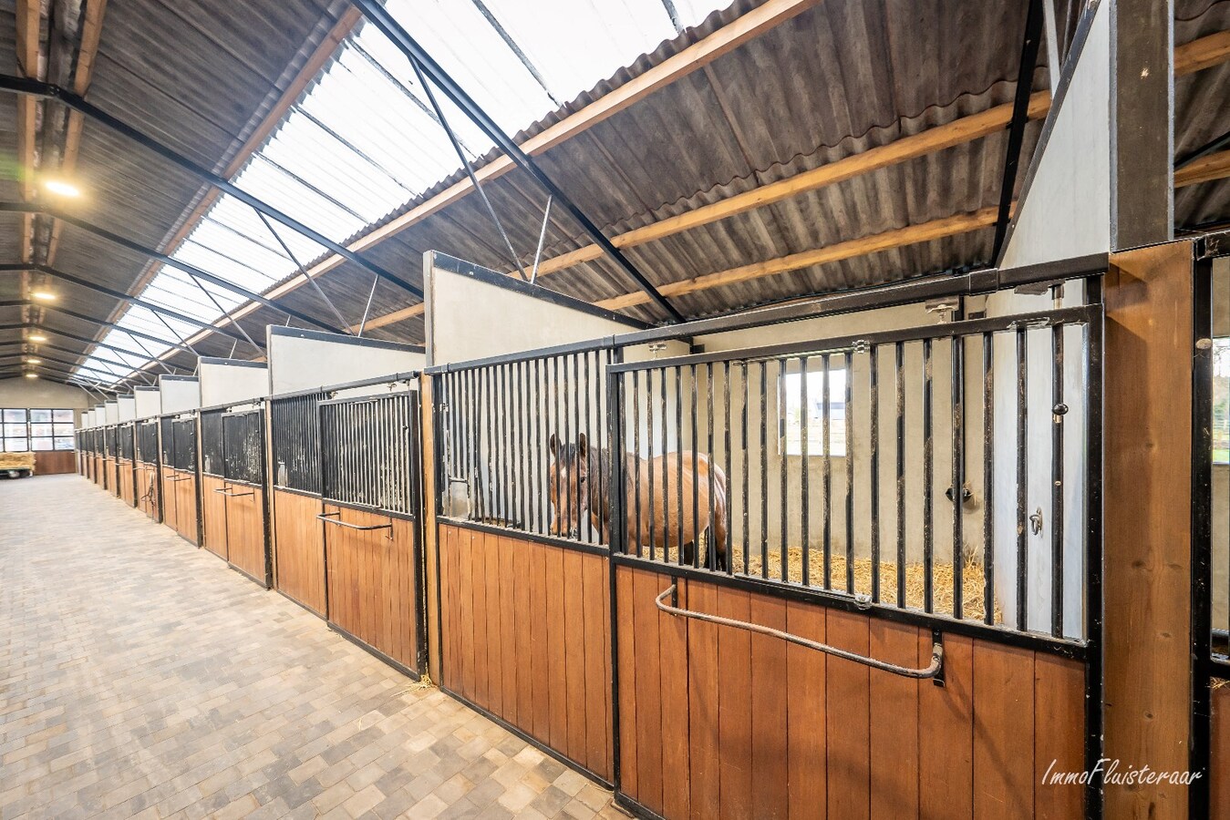 Beautiful villa with equestrian facilities and indoor arena on appr. 2 ha/4,95 acres in Paal. 