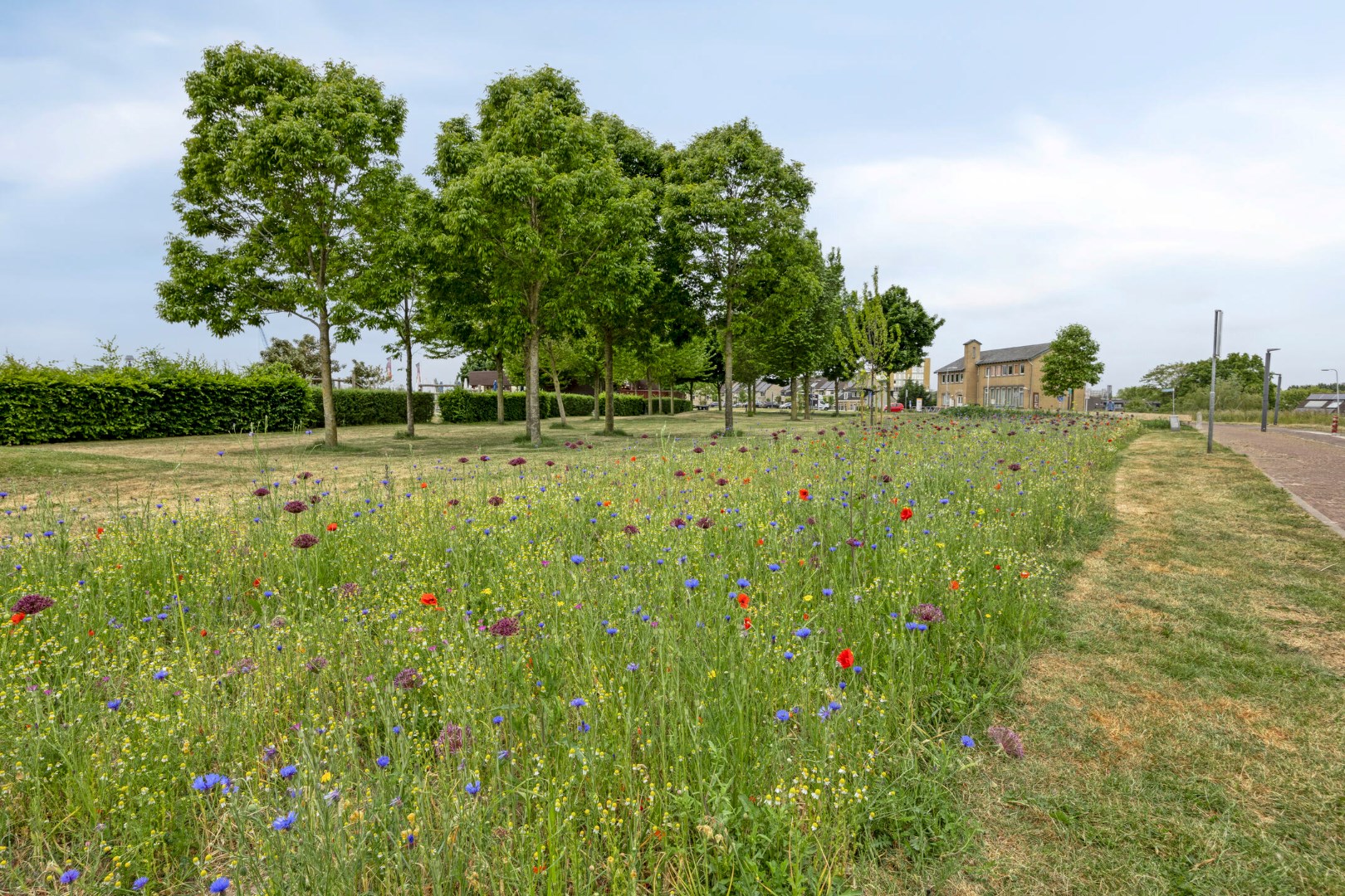 Op zoek naar een woning op hoog niveau met een &quot;Jofel&quot; uitzicht op de Hollandsche IJssel? 