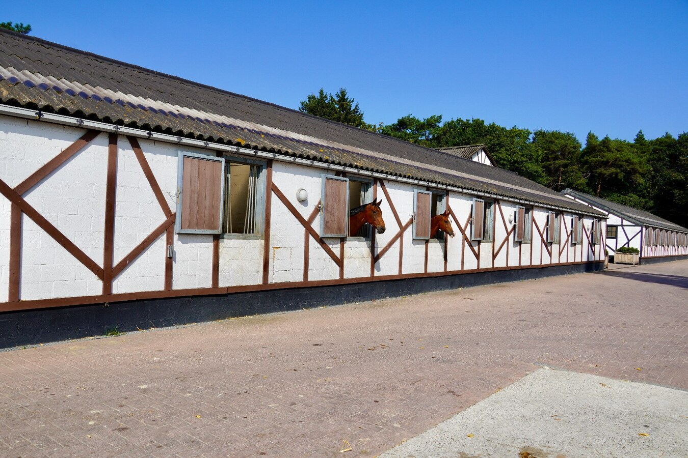 Equestrian center De Kraal with adjacent luxury villa on approximately 9.1 ha/22,5 acres  in Zandhoven. 
