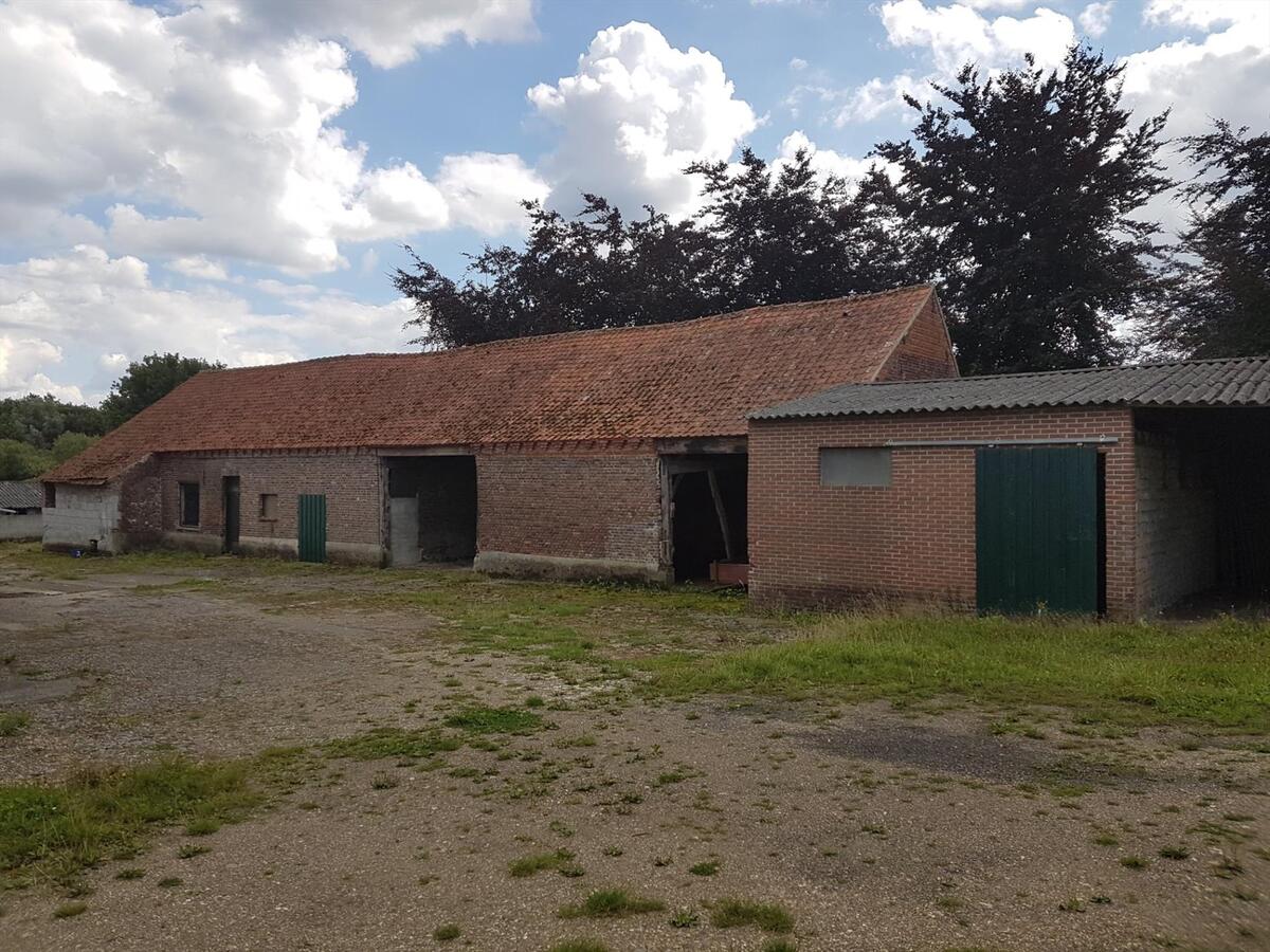 Te renoveren hoeve met stallen op een prachtige locatie (ca.4,51ha) 