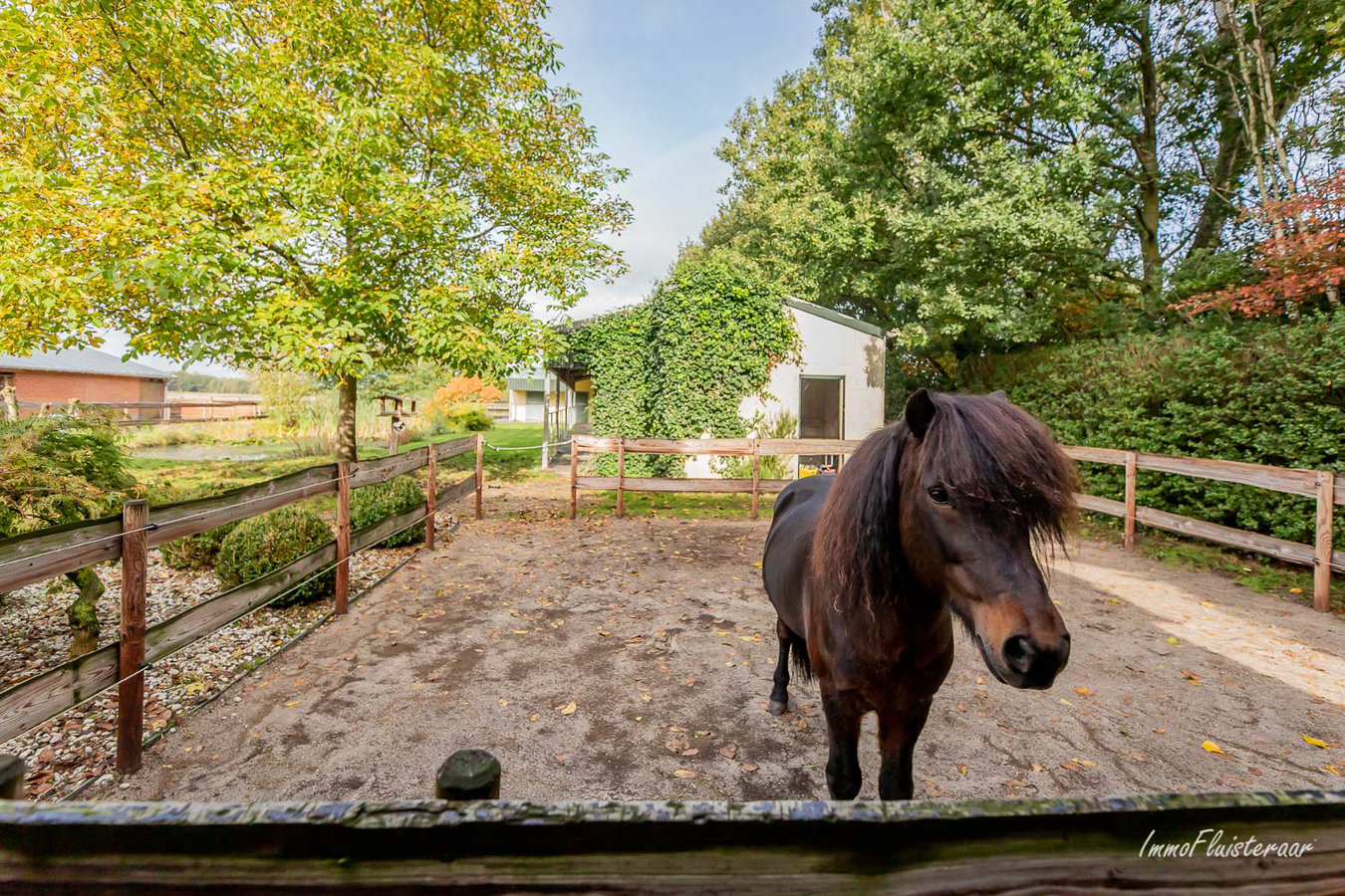 Rustieke woning met paardenfaciliteiten op ca. 1,3Ha te Weelde 