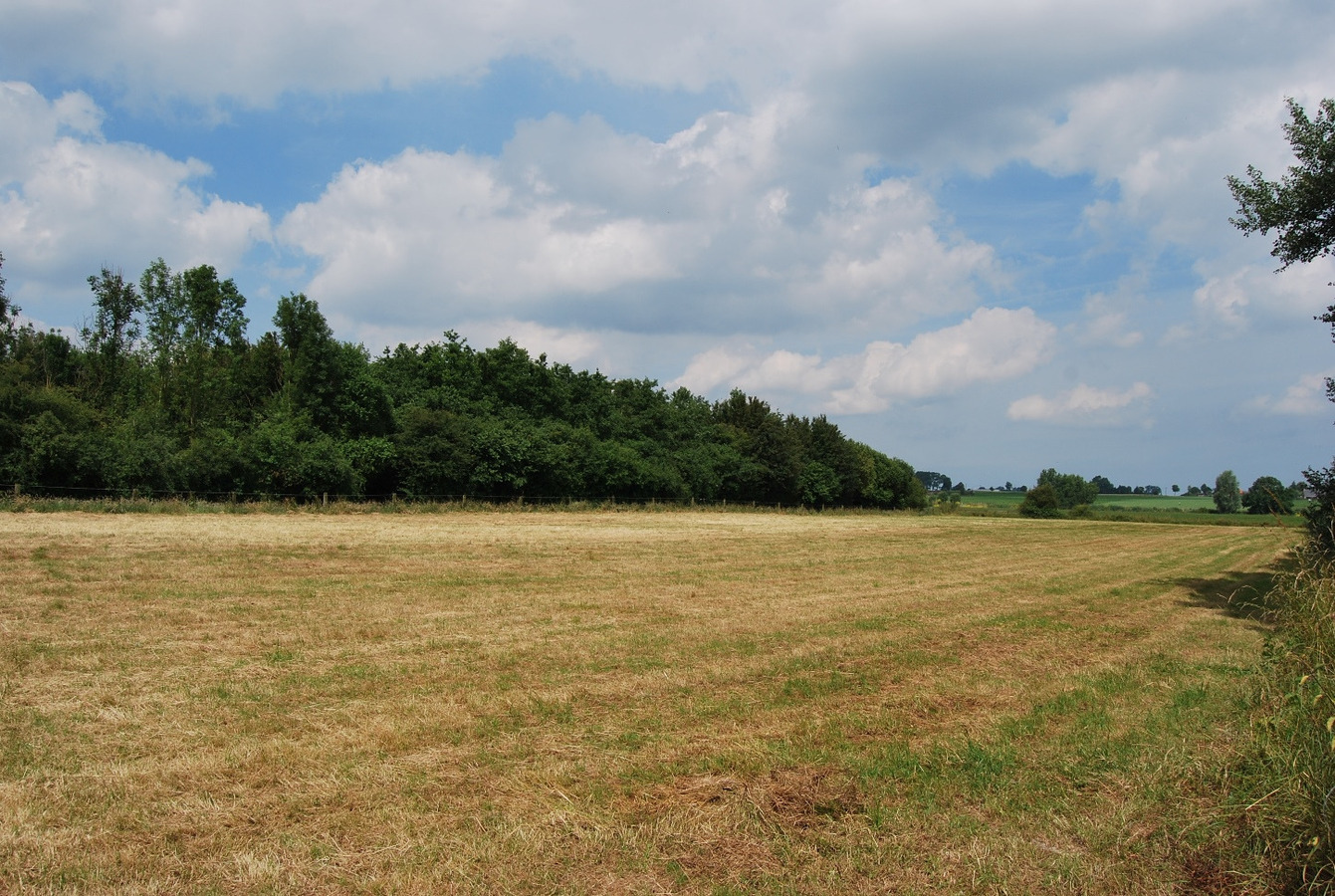 Abdijhoeve op ca. 7ha te Alveringem, Stavele 