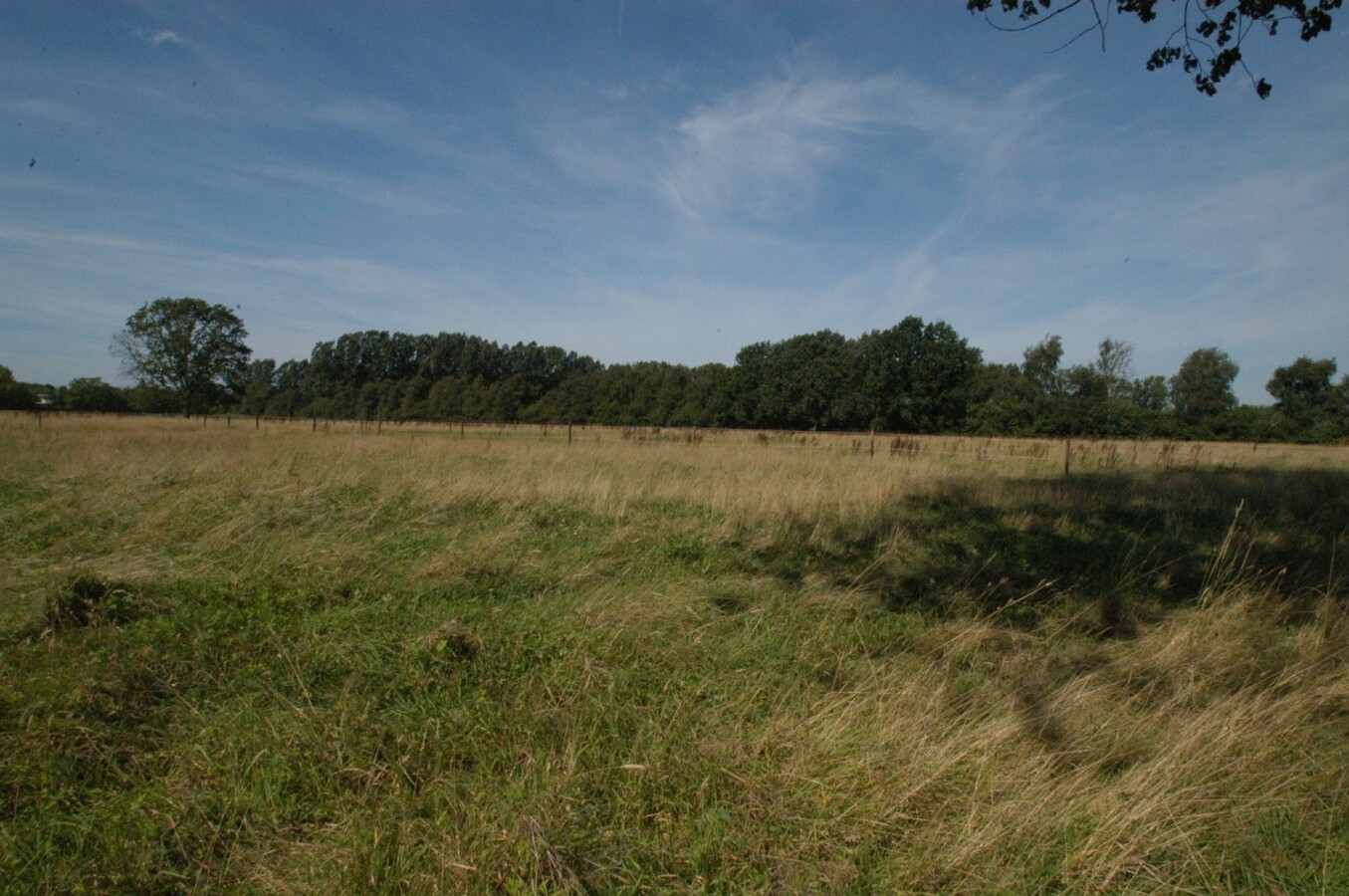 Estate sold in Koningshooikt