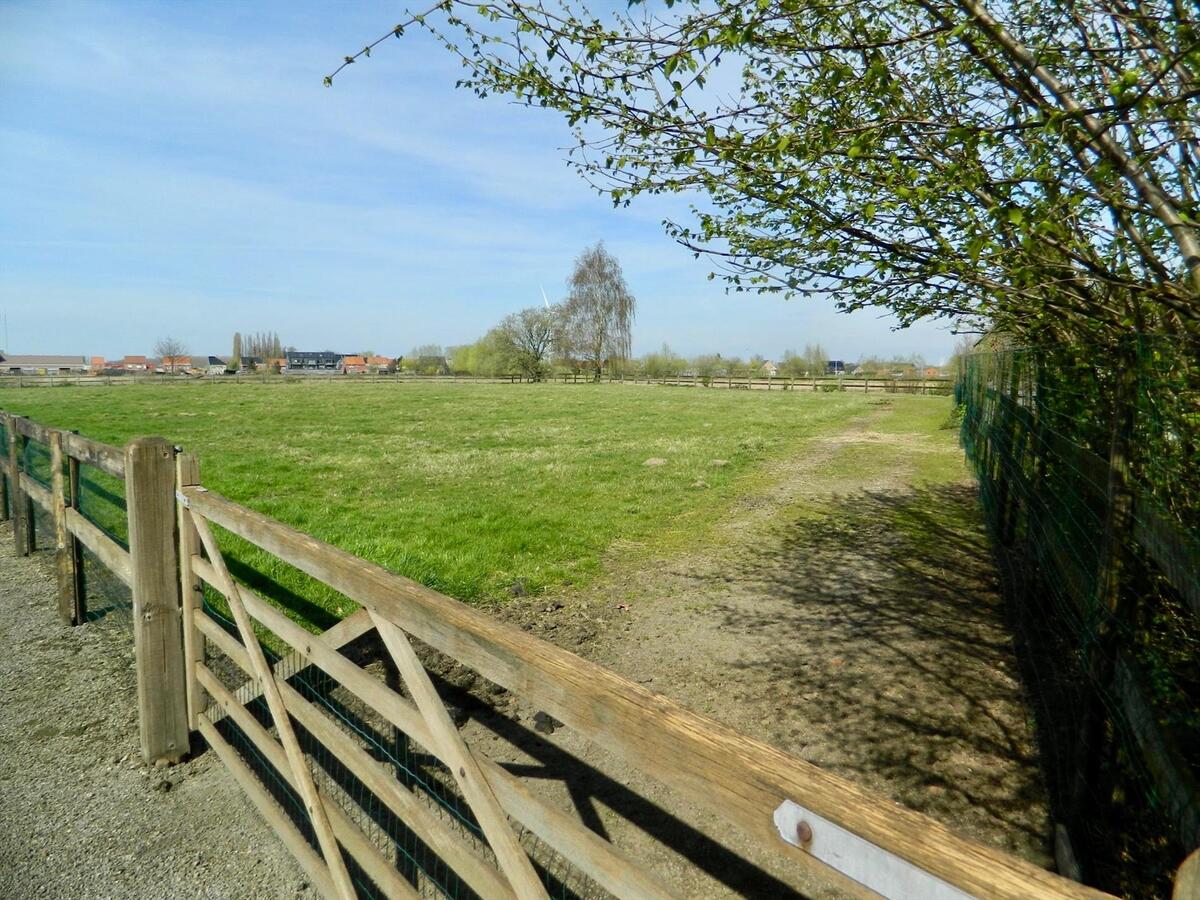 Villa met paardenstal en drafpiste op ca. 2,2ha te St-Gillis-Waas 