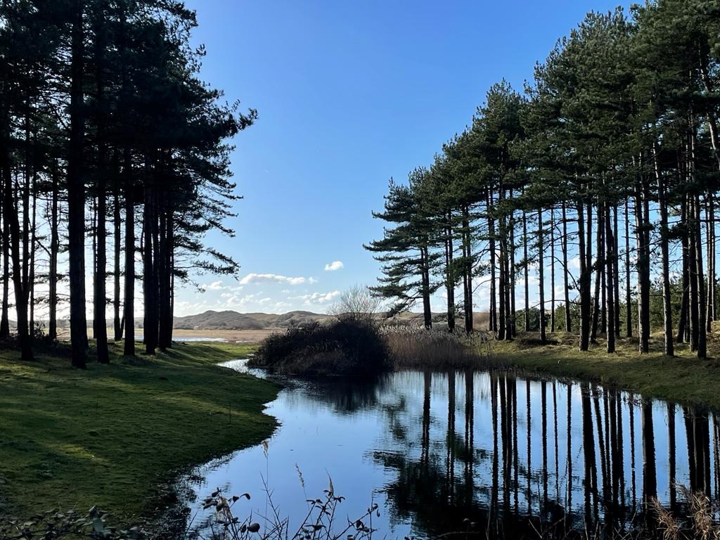 Zeer net, vrijwel nieuw vakantie-chalet (nr. JD12) aan de rand het Vakantiepark In de Bongerd te Oostkapelle, op loopafstand van het gezellige centrum van het dorp en natuurgebied de Manteling met aan 
